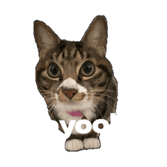 honda_20260324140710