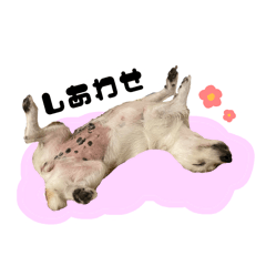 kana_20260327152537