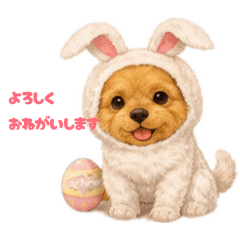 Poteto_20260327152953