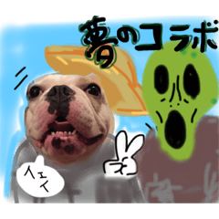 gas Perl2.