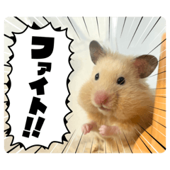 Kazoku_20260324165556