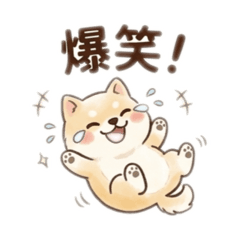 mi..76_20260327190225