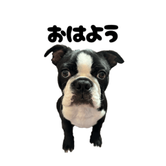 kotaro chan_20260327191431