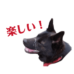 sounokainusi_20260327191331