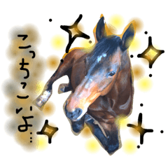 happy animal LIFE4