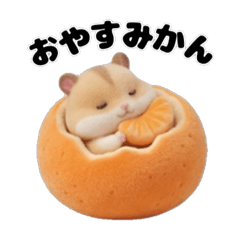 Pum in Hamster Flocky