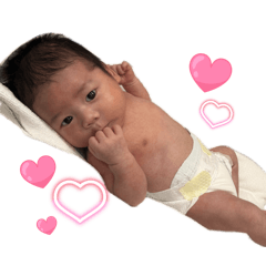 miotaka_20260327193448