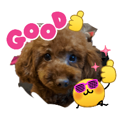 ayame_20260324171318