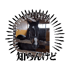 endox_20260327170805