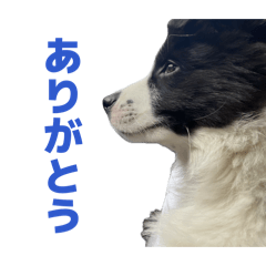 TOKU33_20260327160248