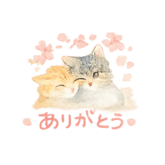 amichan_20260327174303