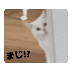 RAMUNE_20260327220014