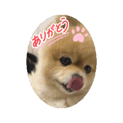 ritsu_20260328032540