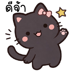 แมวน้อยตัวดำ คิคุ!