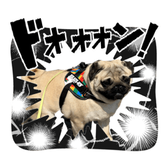 Gonta_20260327182100