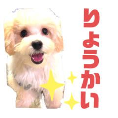 SASUKE_20260327181316