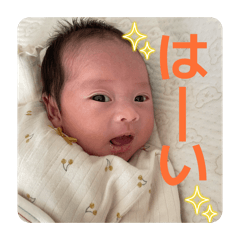 miura_20260327200605