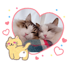 yuako_20260327182818