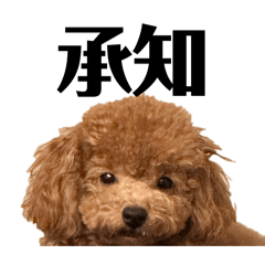 kotatsu_20260327161926