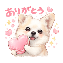 poohchan_20260327184101