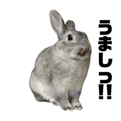 USHAOSHi_20260327184347