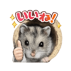 family_20260327184858