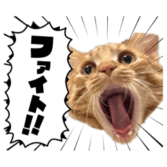 kohaku_20260327205658