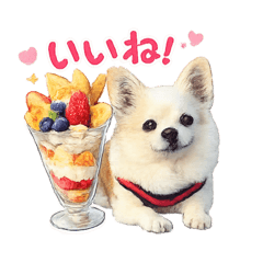 poohchan_20260327205454