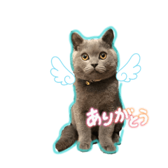 KAMATARI_20260327205427