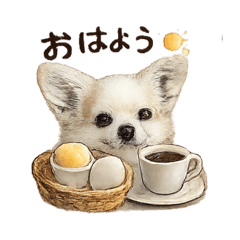 poohchan_20260327211541