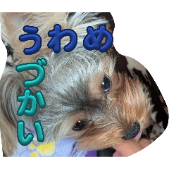 kaikaikairi_20260327210902