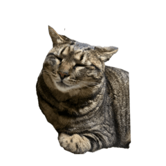 Solitary_20260327213246