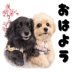 Ichigo & Luna Happy Days