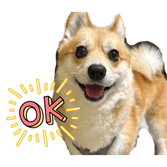 chocori_20260327213609