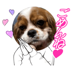 nikona_20260327213048