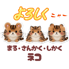 matamata1424_20260327214554