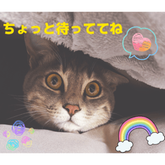 maoon_20260327215116