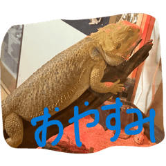 natuumi_20260327215041