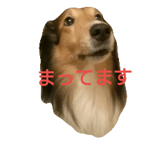 shu-dada
