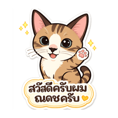 Kittipit Pattarapongpunt_20260327121008