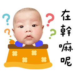 睿睿弟☆小饅頭實用篇☆