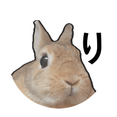 nonnondetective_20260327163459