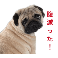 Gonta_20260327164742