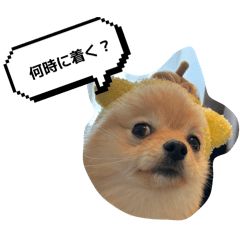 chendo_20260327164859