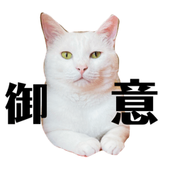 legoapollo_20260327163230