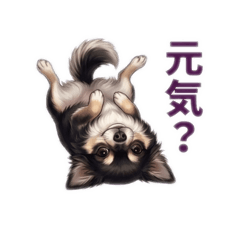 atsushi_20260327201837