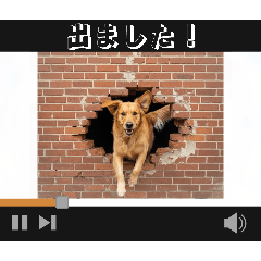 DECCA_20260327202101