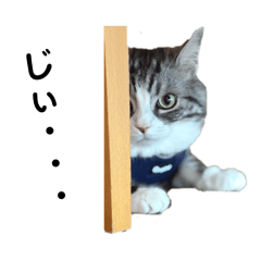 uzukun26_20260327202041