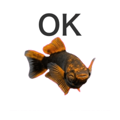 AQUARIUM_20260327224133