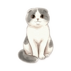 kimhana_20260327223255